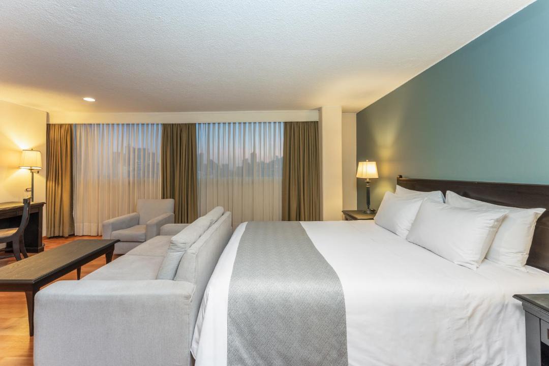 La Candelaria Hotel | Hotel Dann Av. 19