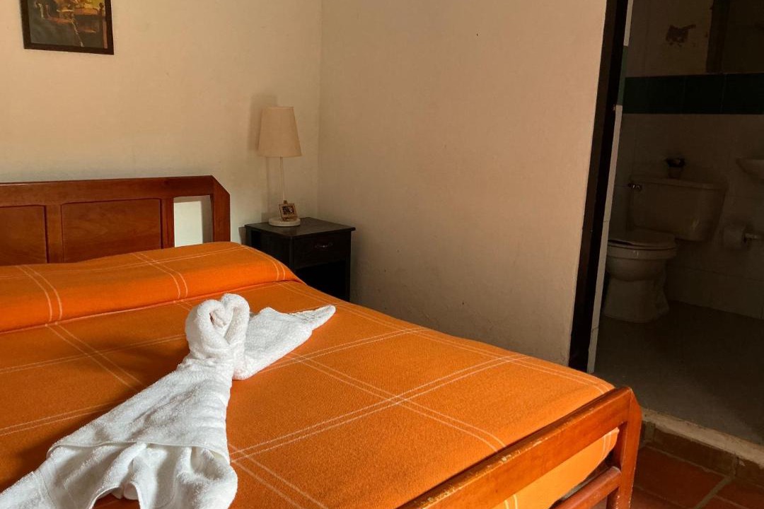 Curiti House | Luna Munay Hostel
