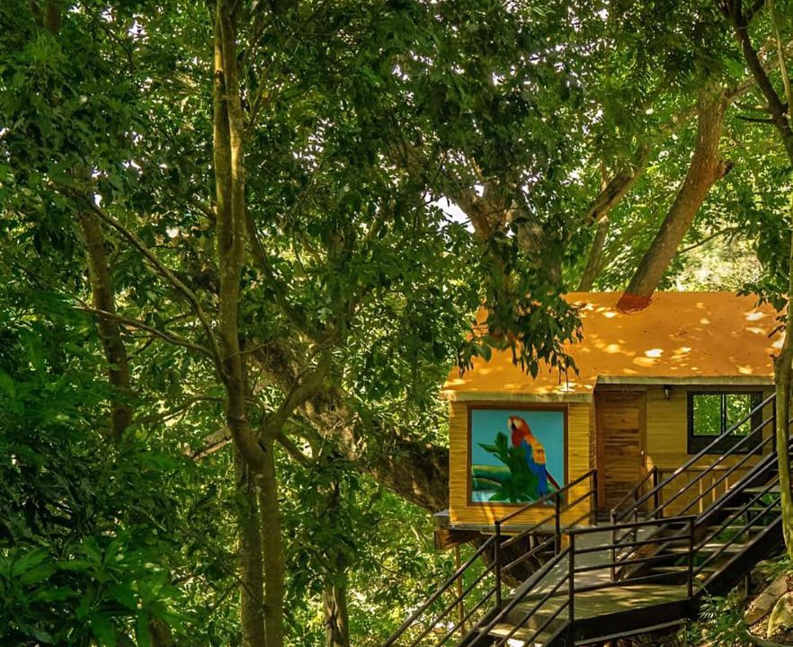 Calabazo Bed & Breakfast | Villa Fátima Campestre