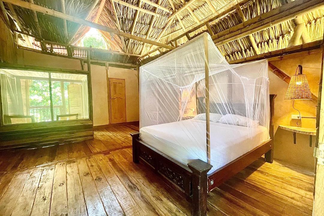 Palomino House | La Percha Hostal