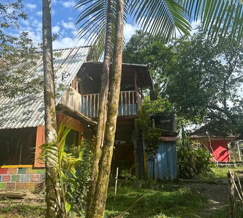Uramba National Park Hostel | Hostal ladrillerossurf