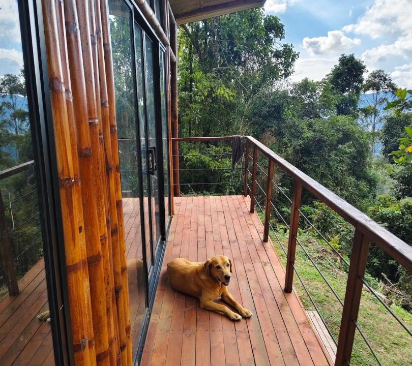 Supata House | Chiraco cabins native jungle