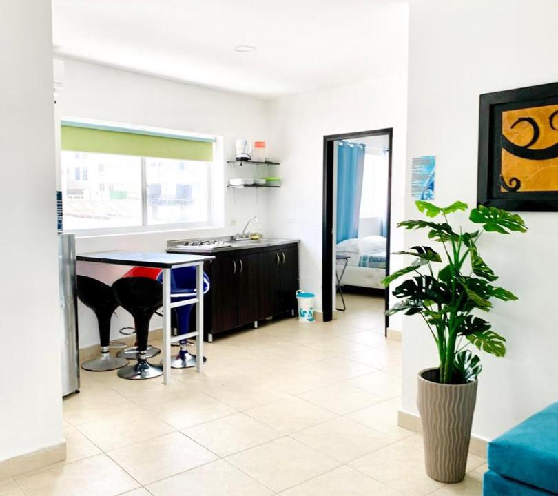 Punta Hansa Apartment | Caribbean Island Hotel