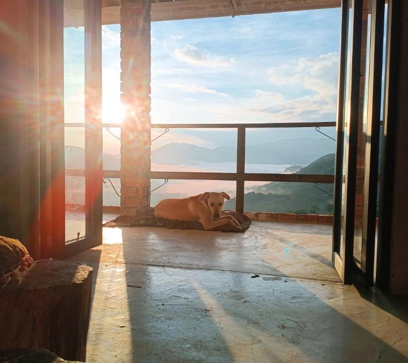 San Carlos House | Bosque Místico