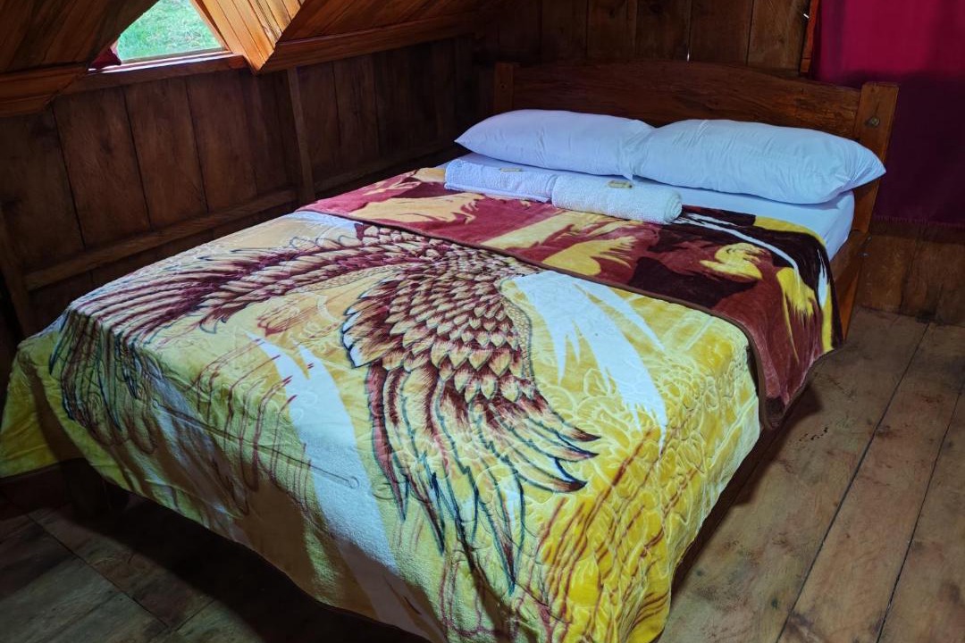 Purace Cabin | Las Bromelias