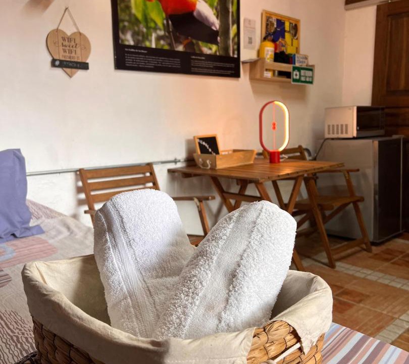 Jardin Apartment | Cabaña & glamping para grupos de 4 a 6 personas, cerca al parque y con avistamiento de aves