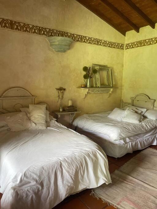Amaga House | La Casa del Samán