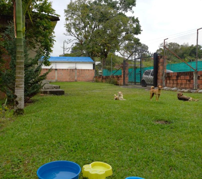 Circasia House | ISA BELLA Hospedaje y Cabaña Entre Aves