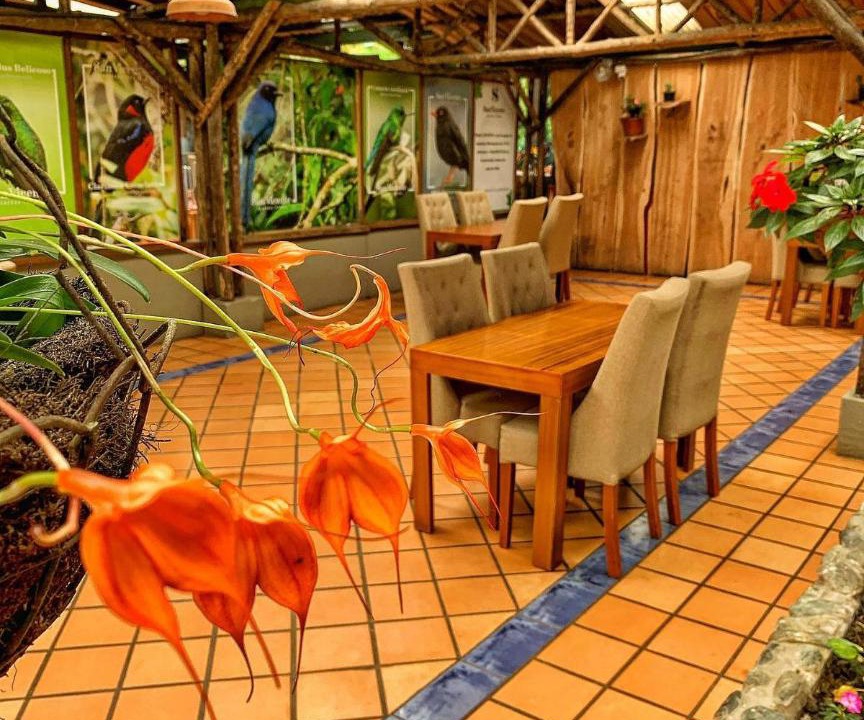 Santa Rosa de Cabal Hotel | Hotel Termales San Vicente