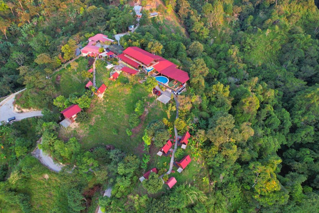 Papare Cabin | Hostal Sierra Minca