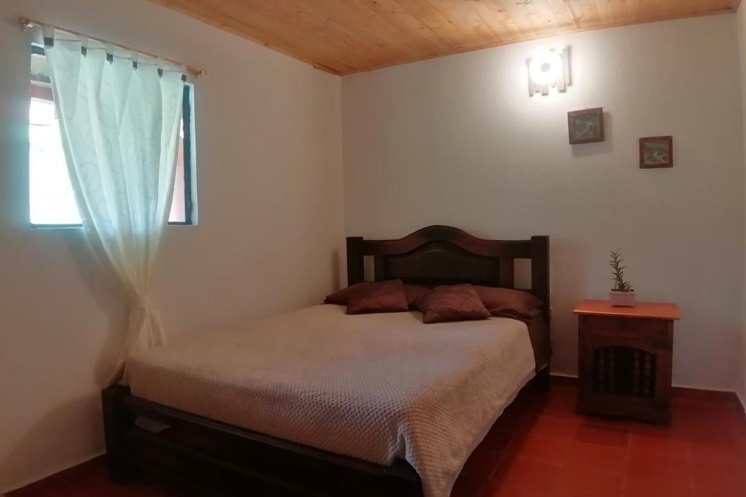 Tena House | Nuestro Bosque I