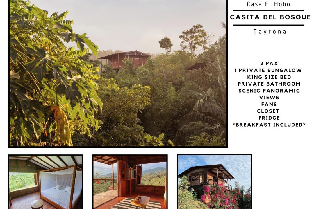 Mata de Platano Cabin | Casa del Bosque Tayrona