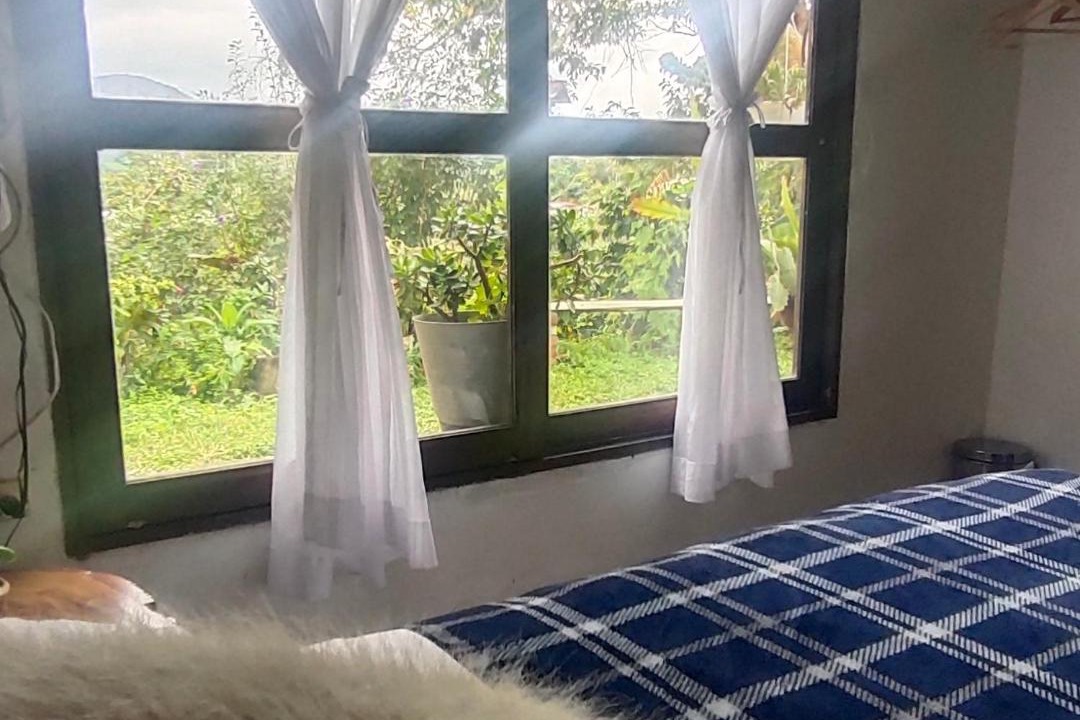 Libano House | Finca Cafetera Los Ángeles