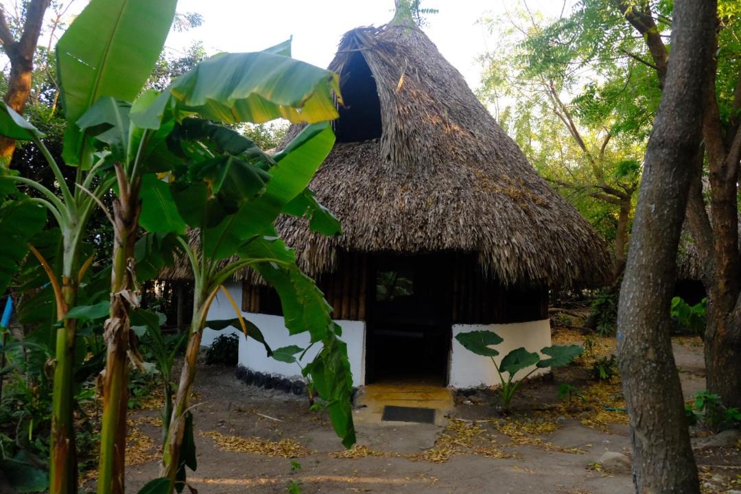 Palomino House | Auroa Palomino