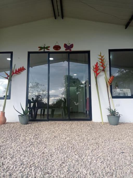 Supata House | dgc