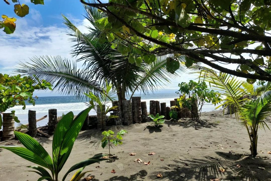 Bahia Solano House | HOSPEDAJE DOÑA NEL