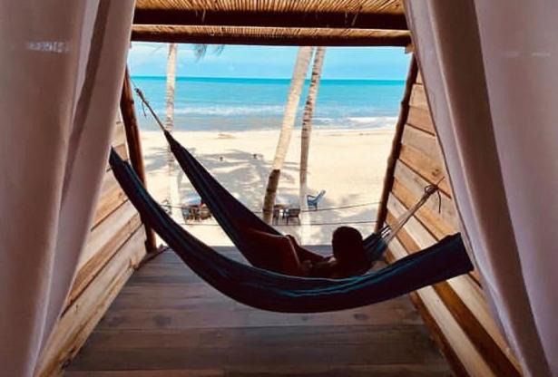 Palomino Hostel | Calma Chicha