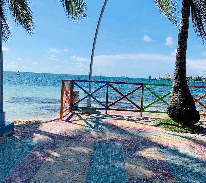 Punta Hansa House | Villa acacias tree