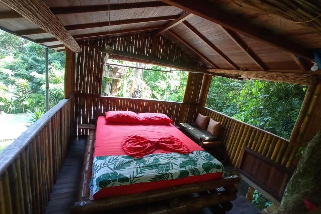 Acandi Hostel | Treegana