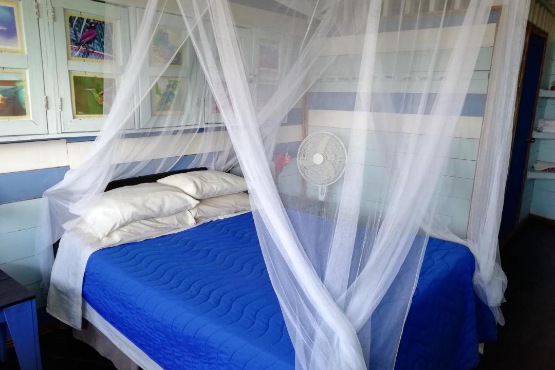 El Valle Bed & Breakfast | The Hill B&B (El Morro Hosteria)
