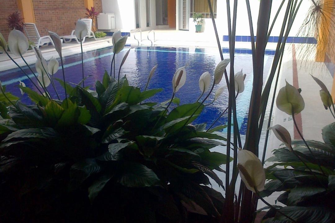 Mesitas del Colegio Hotel | Hotel Tropico Real Mesitas