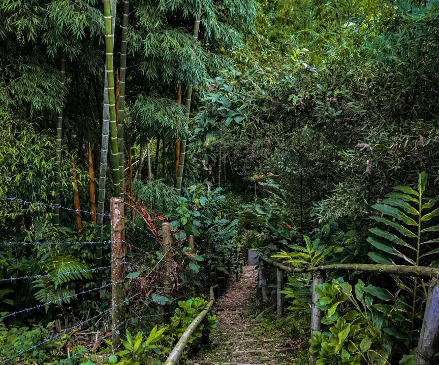 Photo of Others in Pereira