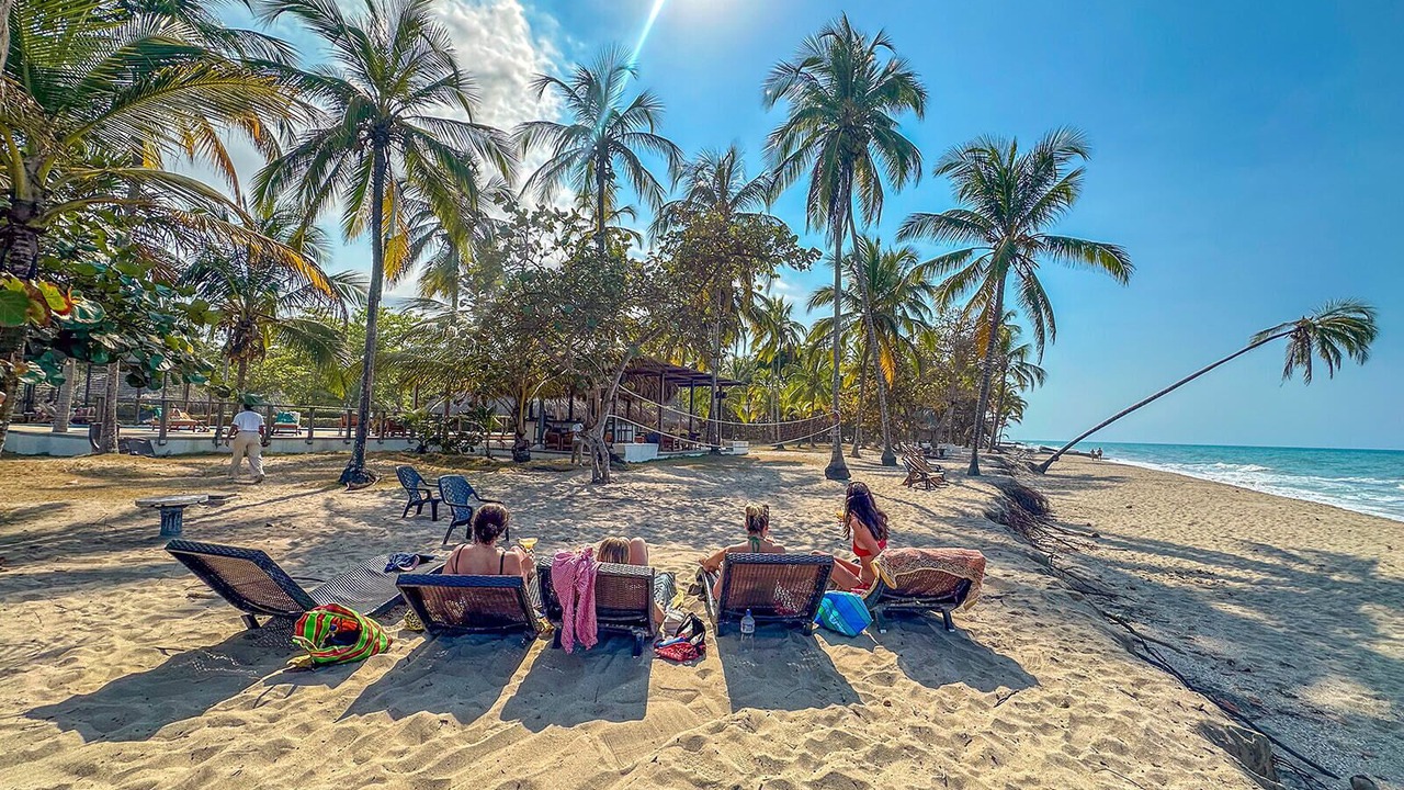 Photo of Others in Palomino