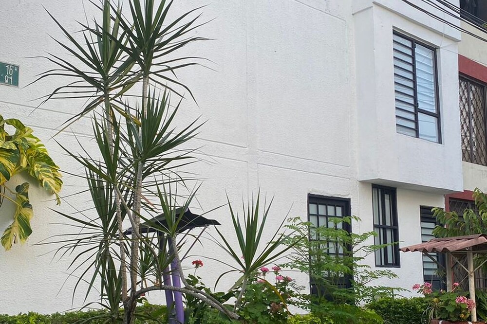 Photo of Outdoor in Ibague