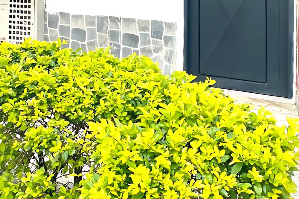 Photo of Outdoor in Ibague
