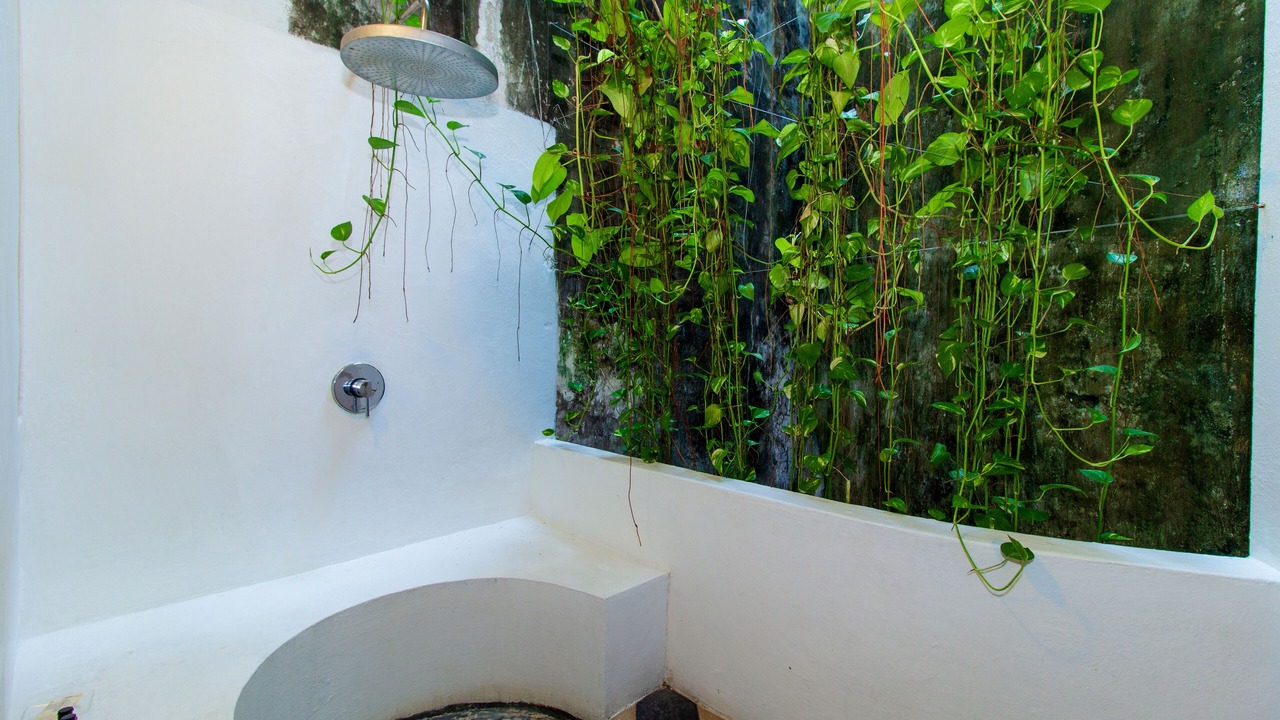 Photo of Bathroom in Centro