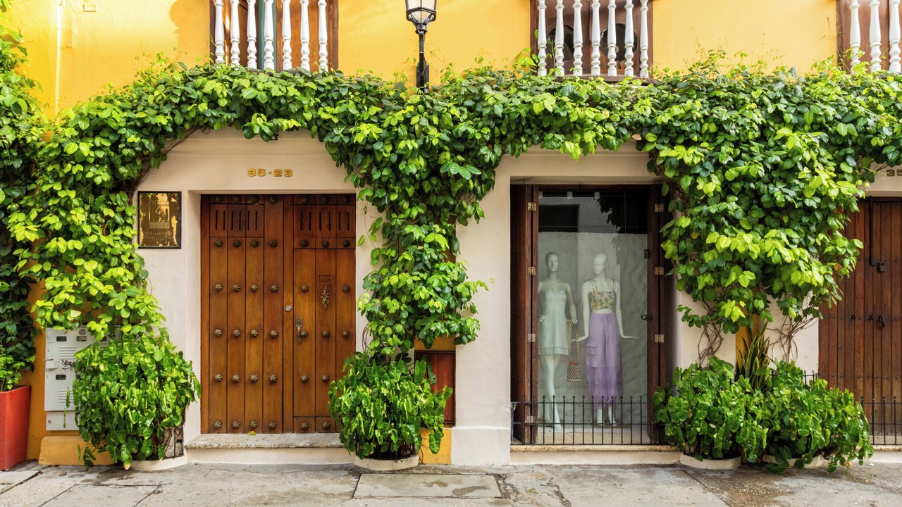 Photo of Outdoor in Centro