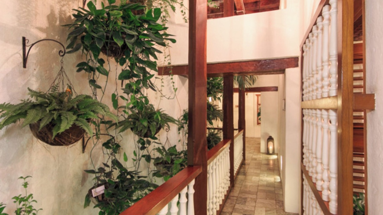 Photo of Outdoor in Centro