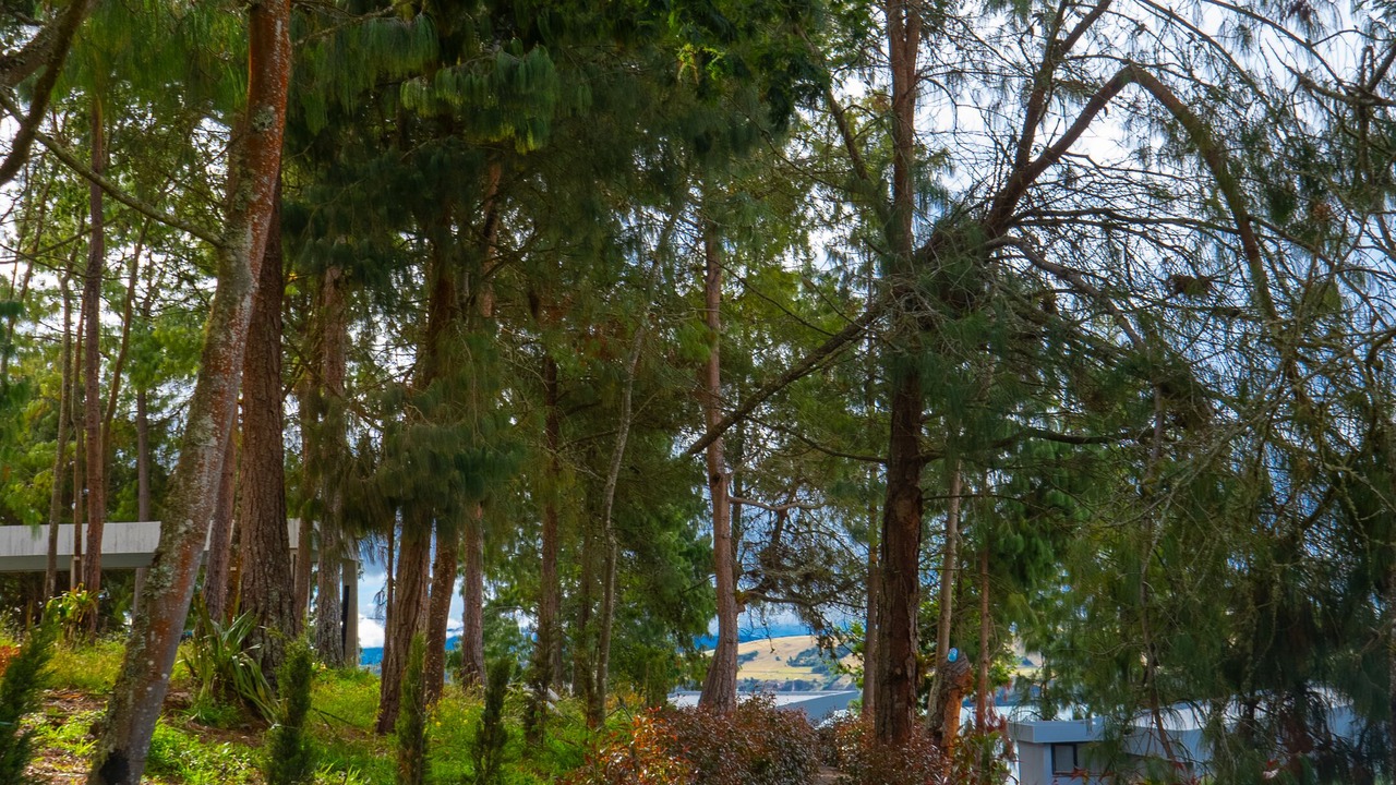 Photo of Outdoor in Aquitania