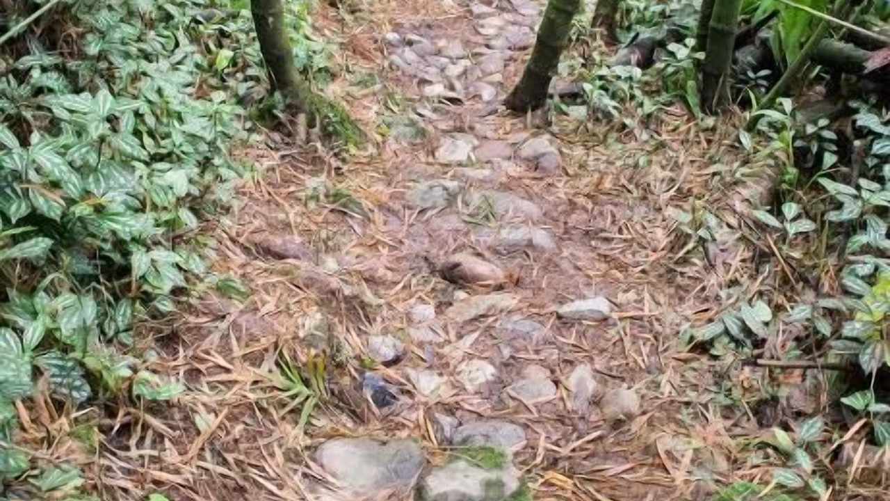 Photo of Others in Santa Rosa de Cabal