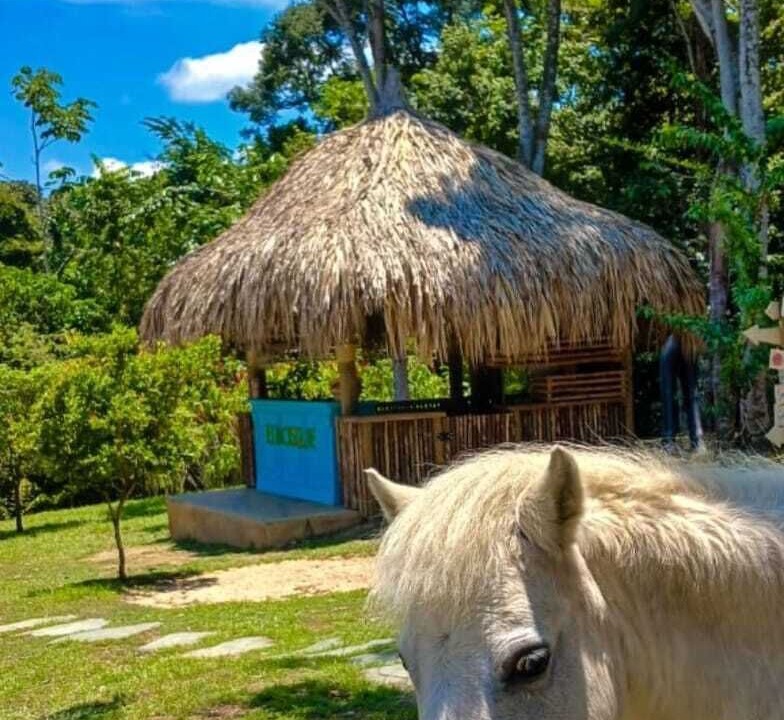Photo of Outdoor in Puerto Triunfo