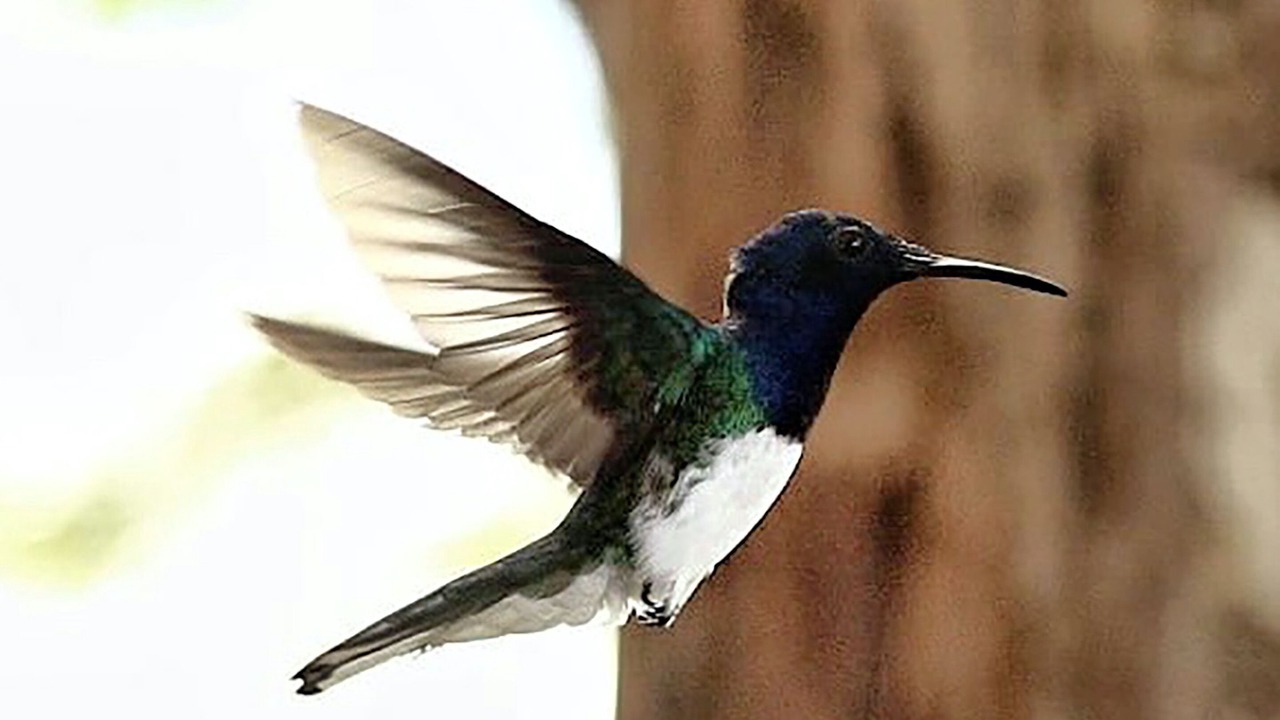 Photo of Outdoor in Quimbaya