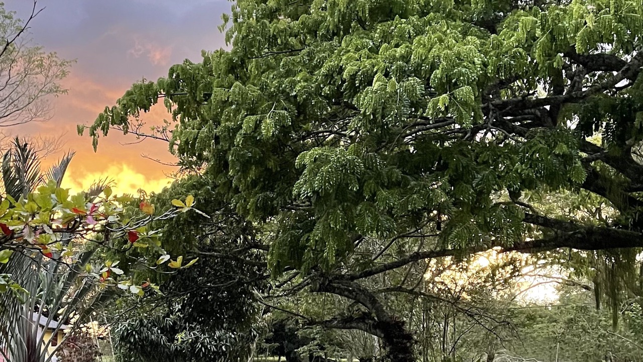Photo of Outdoor in Quimbaya