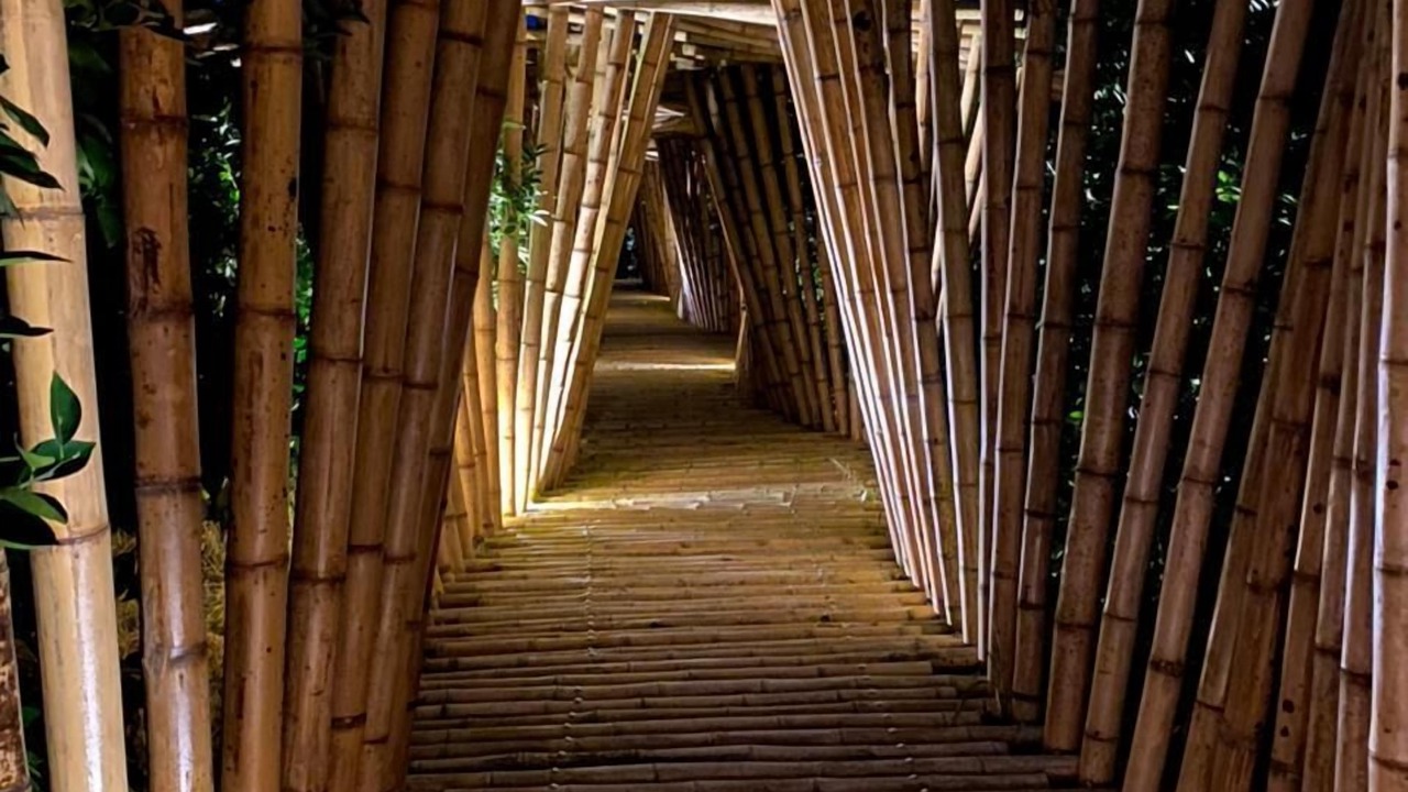 Photo of Outdoor in Quimbaya