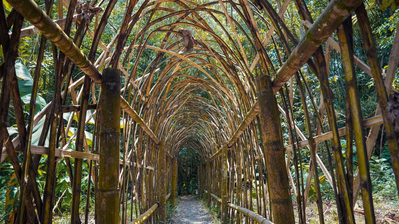 Photo of Outdoor in Quimbaya