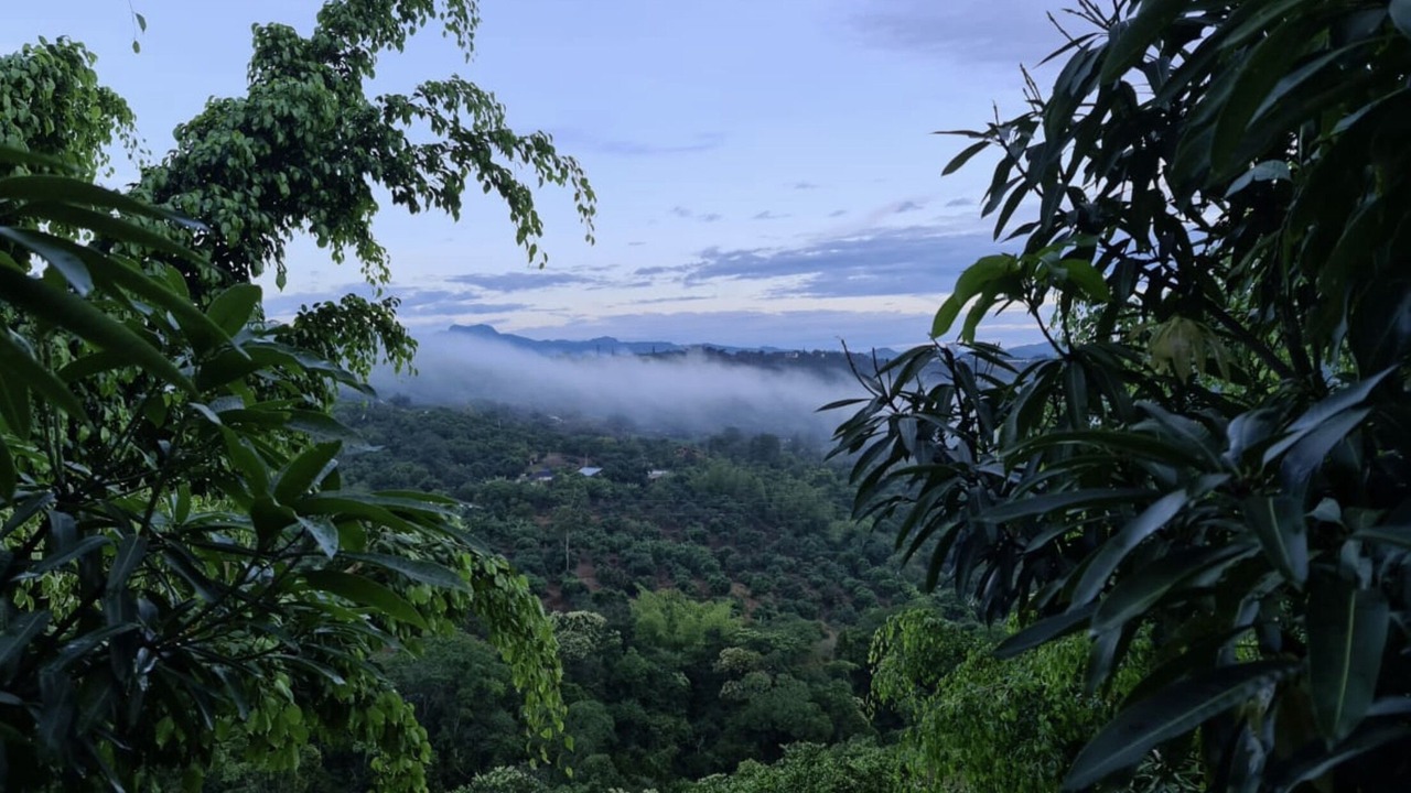 Photo of Others in Anapoima