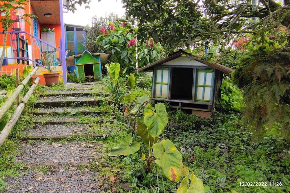 Photo of Outdoor in Filandia