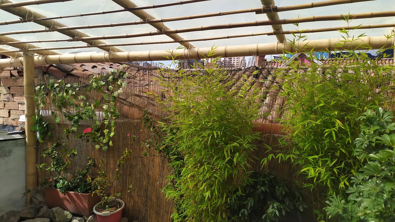 Photo of Outdoor in La Candelaria