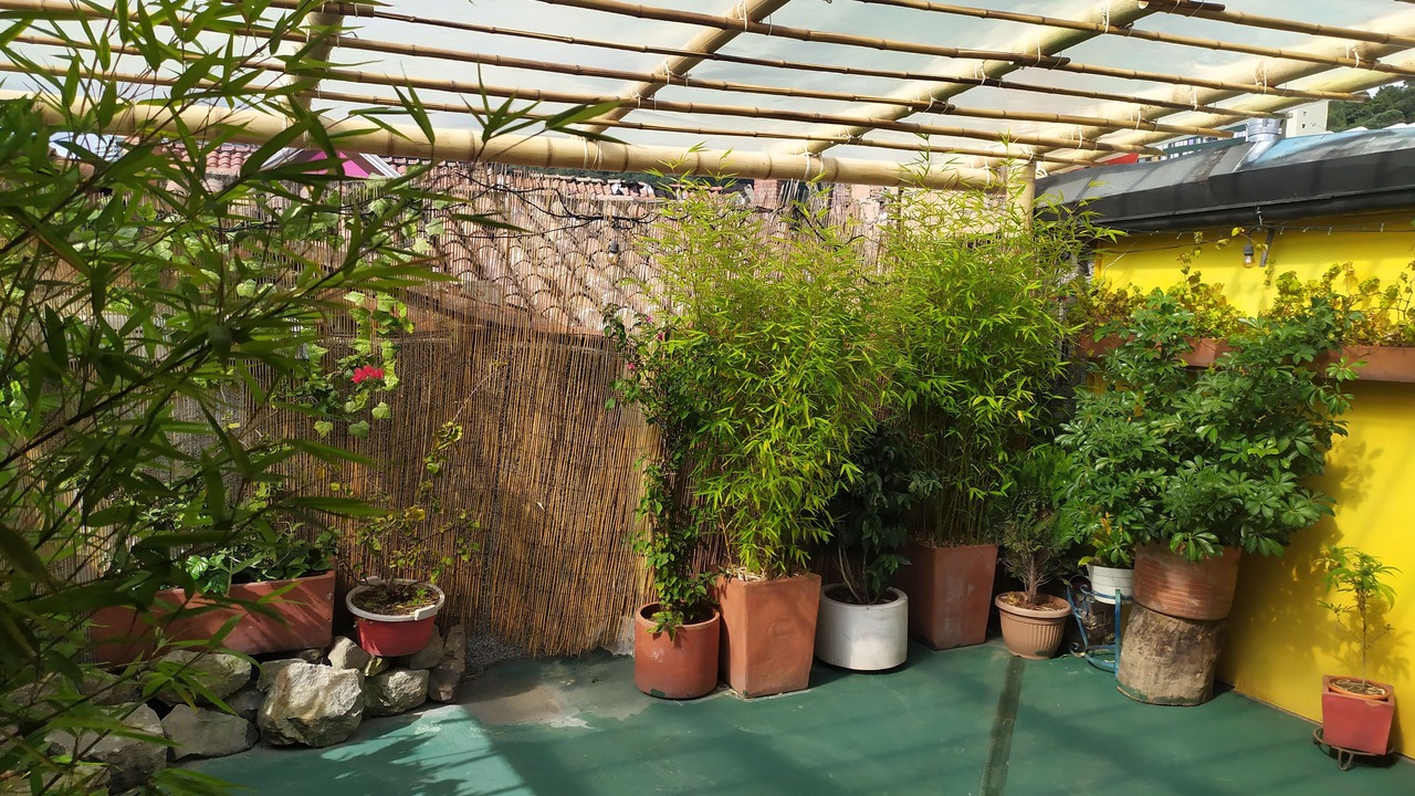Photo of Outdoor in La Candelaria