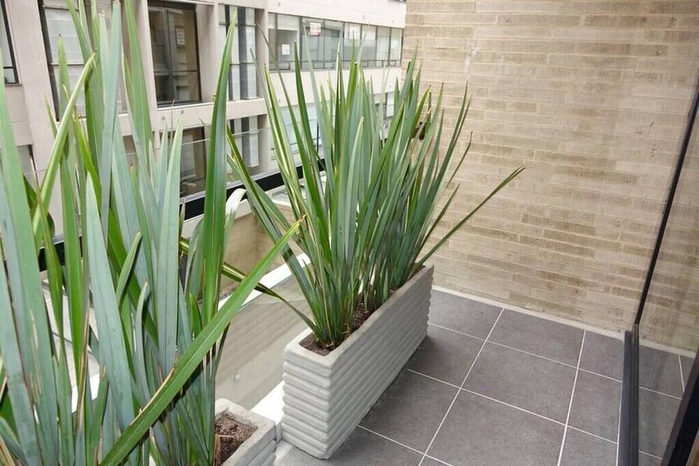 Photo of Patio Balcony in Chico Norte