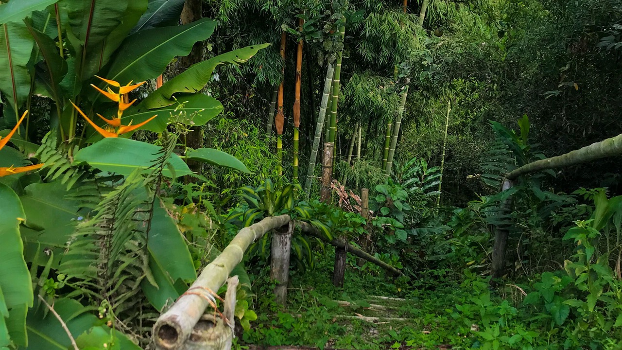 Photo of Outdoor in Pereira