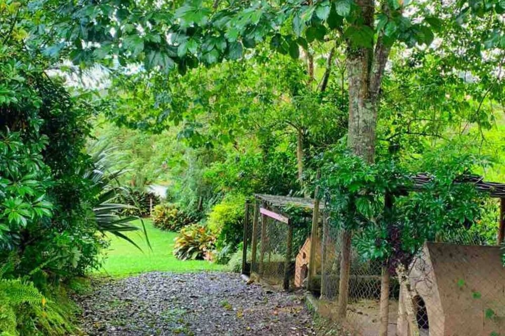 Photo of Outdoor in El Penol