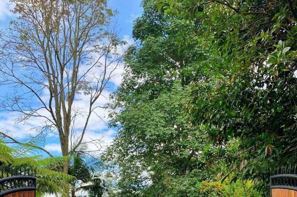 Photo of Outdoor in El Penol
