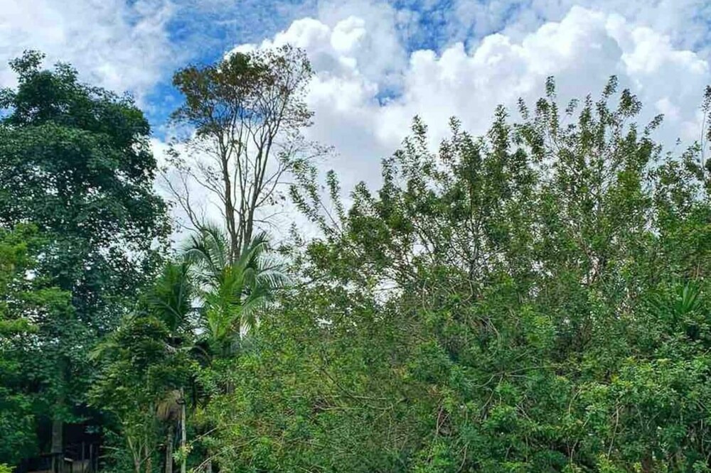 Photo of Outdoor in El Penol