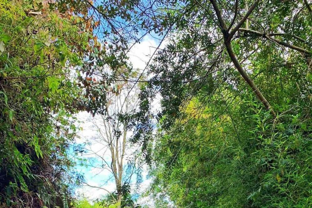 Photo of Outdoor in El Penol