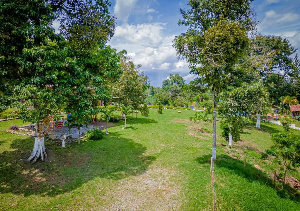 Photo of Outdoor in Calarca
